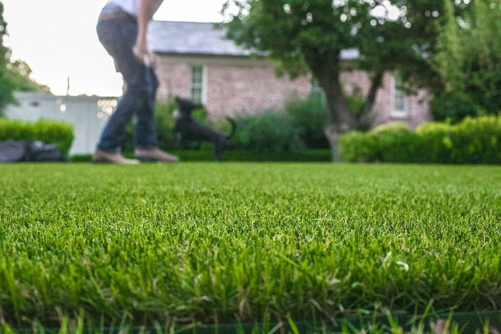 Landscapes by Magnolia Turf Co. - Photo 19