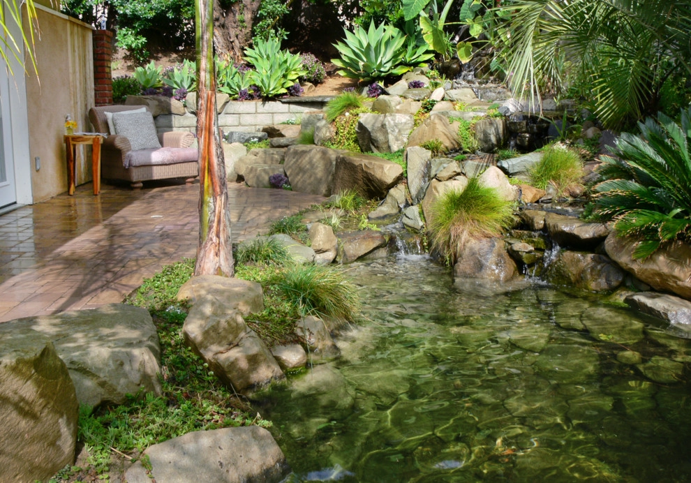 Drought Tolerant Koi Pond and Landscaped Backyard! by California Waterscapes - Photo 4