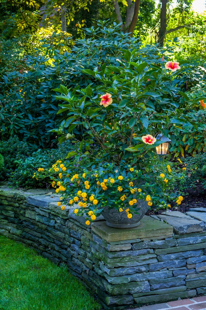 Lloyd Harbor by Main Street Nursery - Photo 4