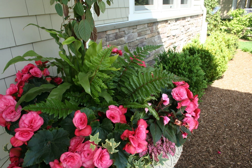 Centerport by Main Street Nursery - Photo 5