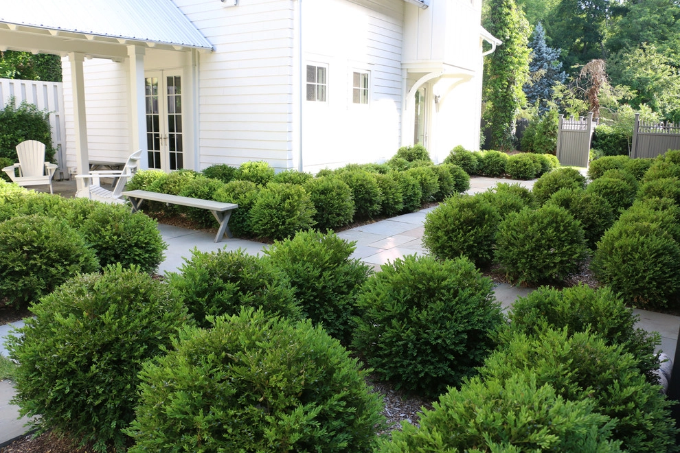 Cold Spring Harbor 3 by Main Street Nursery - Photo 8