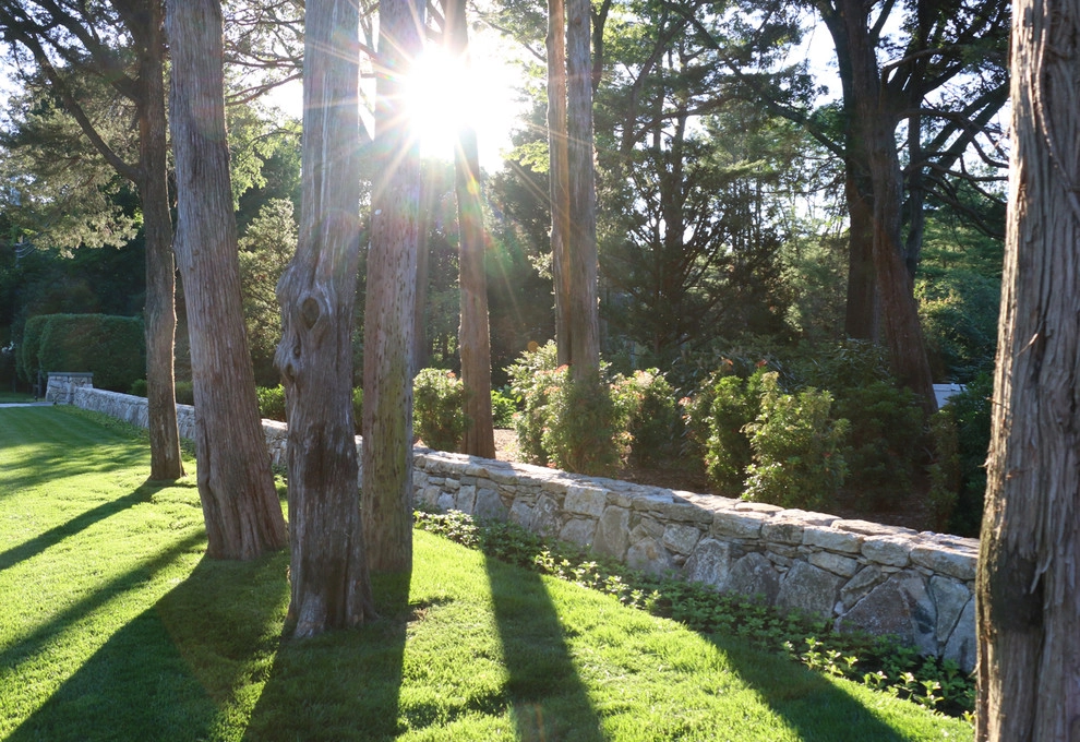 Cold Spring Harbor 2 by Main Street Nursery - Photo 5