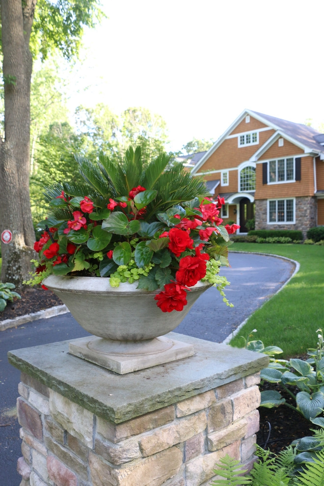 Lloyd Harbor 3 by Main Street Nursery - Photo 18
