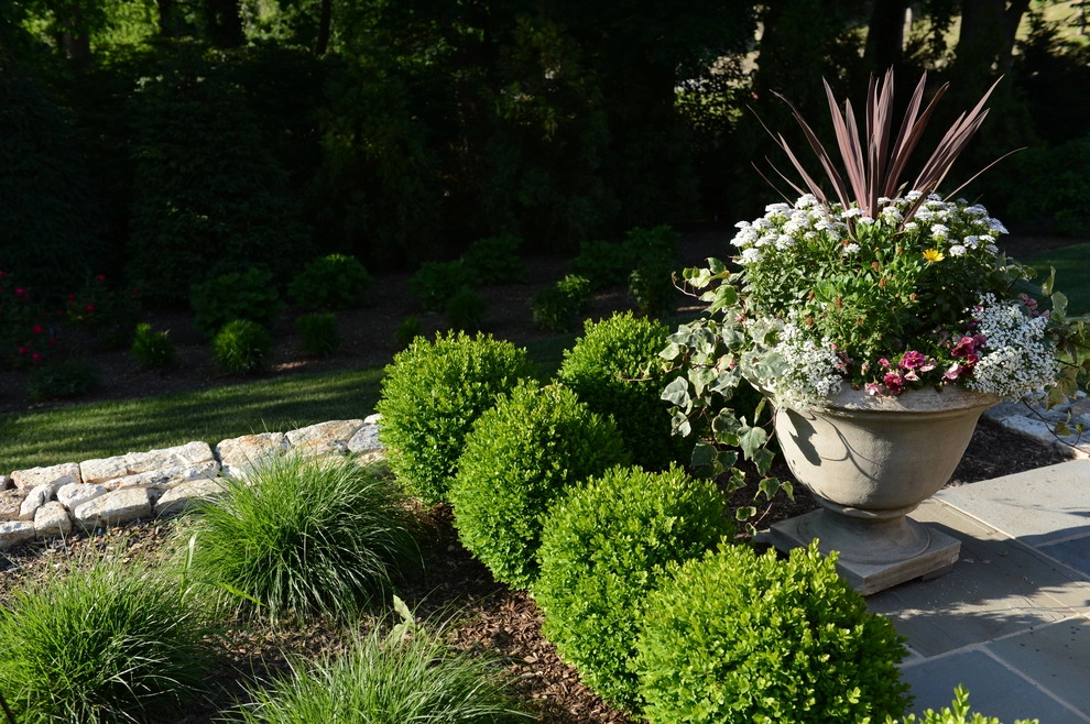 Plandome by Main Street Nursery - Photo 7