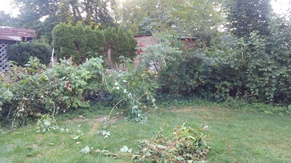 Back Yard over haul by Majestic Services Of Michigan - Photo 3