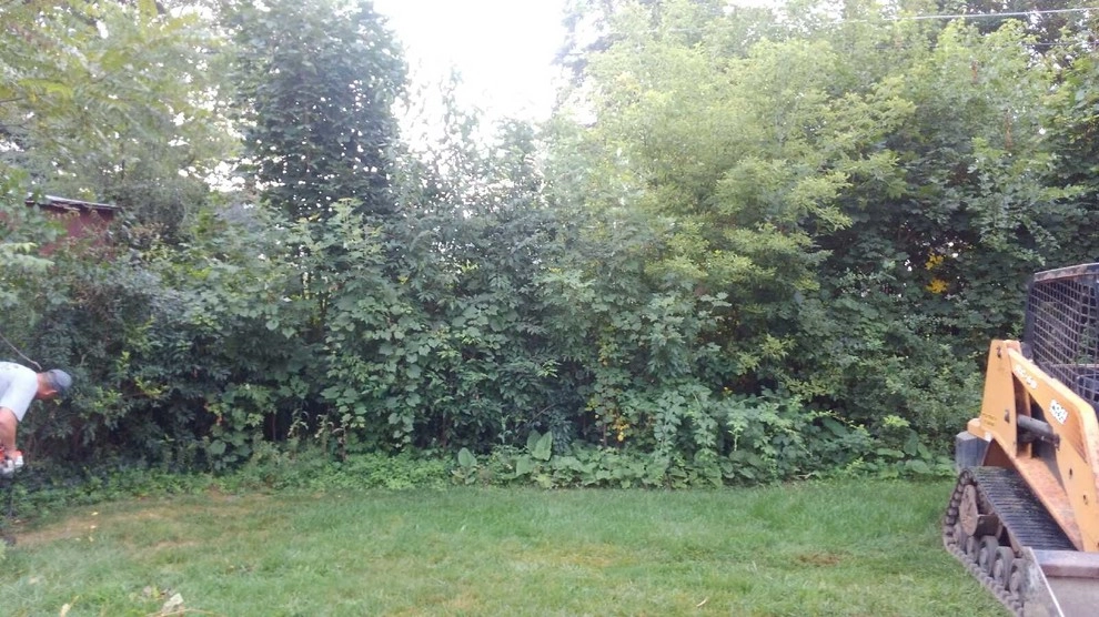 Back Yard over haul by Majestic Services Of Michigan - Photo 6