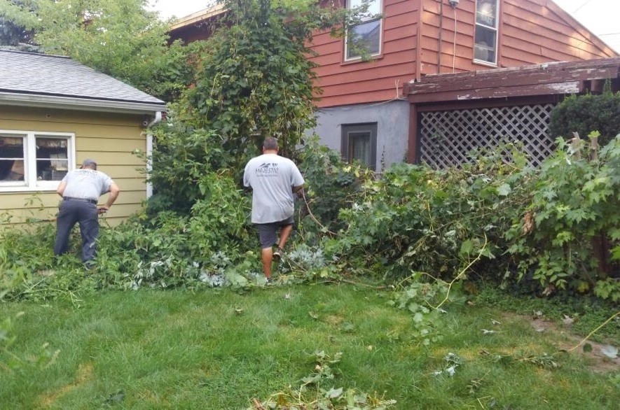 Back Yard over haul by Majestic Services Of Michigan - Photo 9