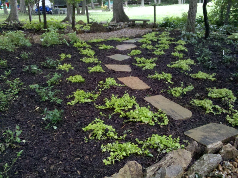 Independence Shade Garden by MALA LLC - Michael Ashley Landscape Architecture - Photo 2