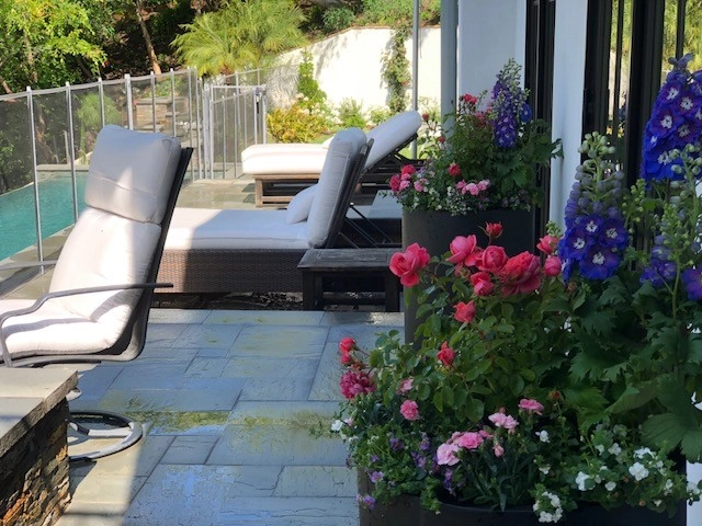 Beautiful Residence - Beverly Hills by Camille Beehler Landscape Design - Photo 18
