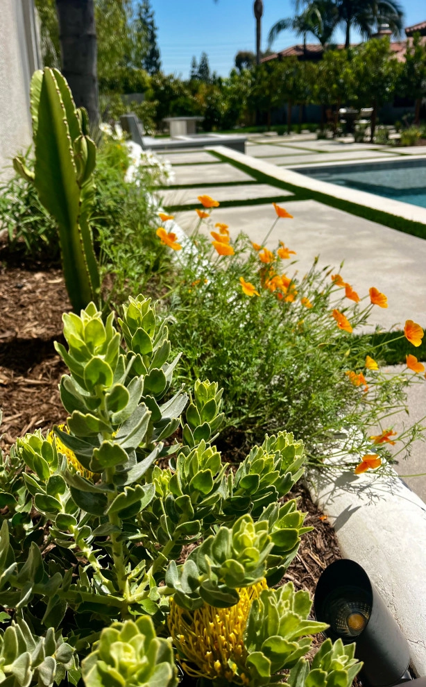Villa Park Retreat by Camille Beehler Landscape Design - Photo 8