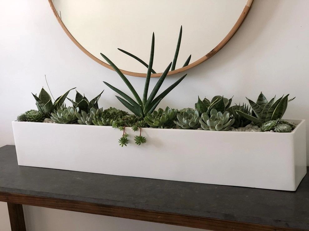 Interior Plant Scape by Camille Beehler Landscape Design - Photo 8