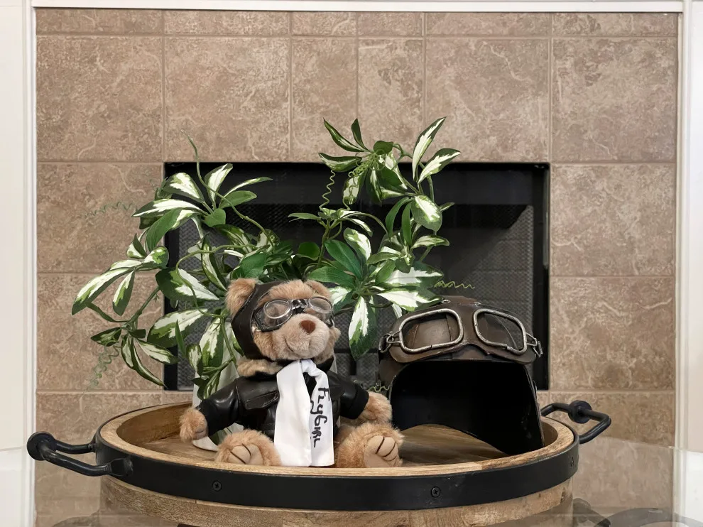 FlyGirl Home Staging & Redesign - Photo 14