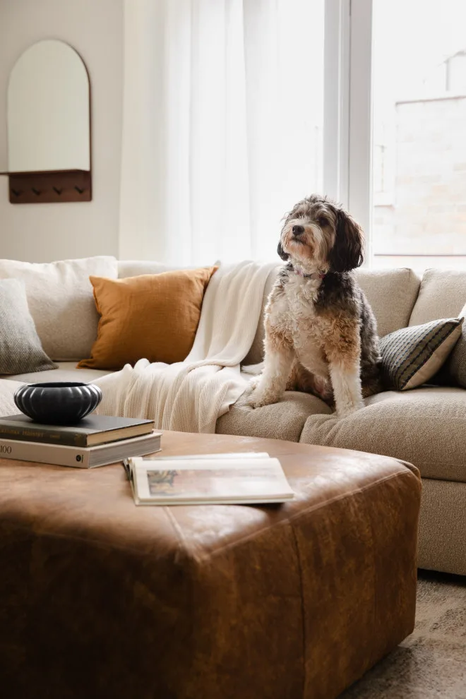 Bucktown Charm by Parti Pris Design - Photo 7