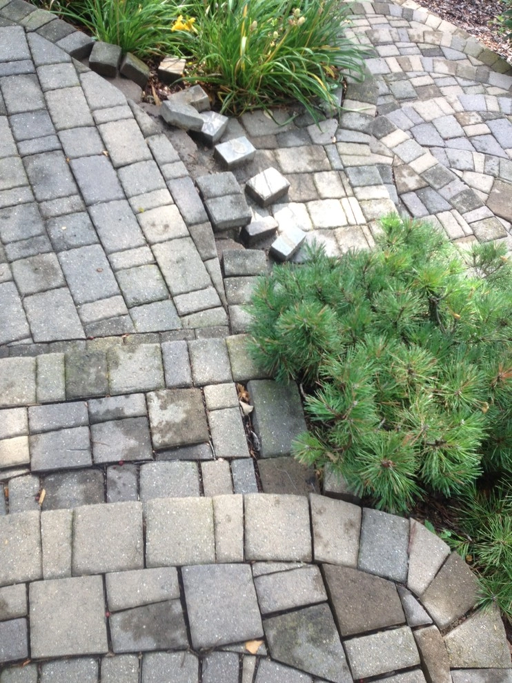 Paver Patio & Drainage Correction by Mark's Lawn Service, Inc. - Photo 4