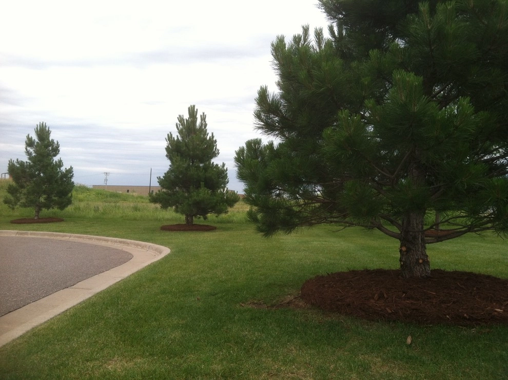 Mulch Job - Holiday Gas (St. Michael) by Mark's Lawn Service, Inc. - Photo 4