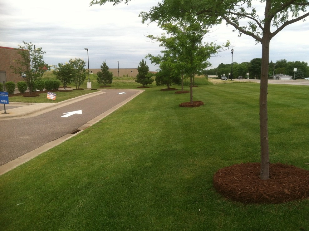 Mulch Job - Holiday Gas (St. Michael) by Mark's Lawn Service, Inc. - Photo 8
