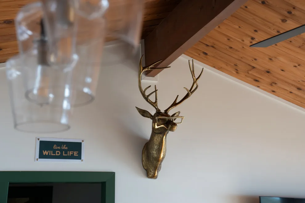 Pelican Camp by Katie Kottke Interiors - Photo 17