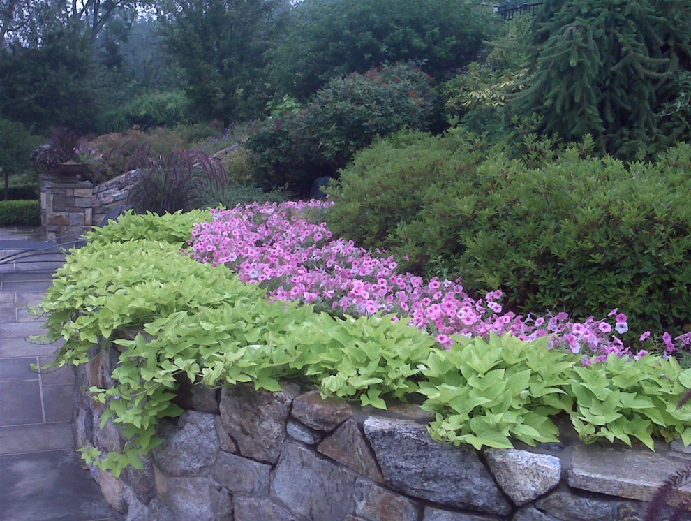 Martin's Landscaping, Inc. - Photo 6