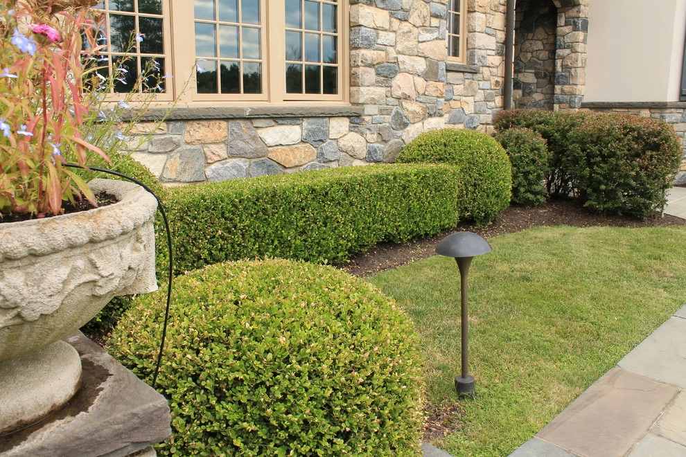Traditional Landscape & Entrance by Martino Landscape Contractors Inc - Photo 6