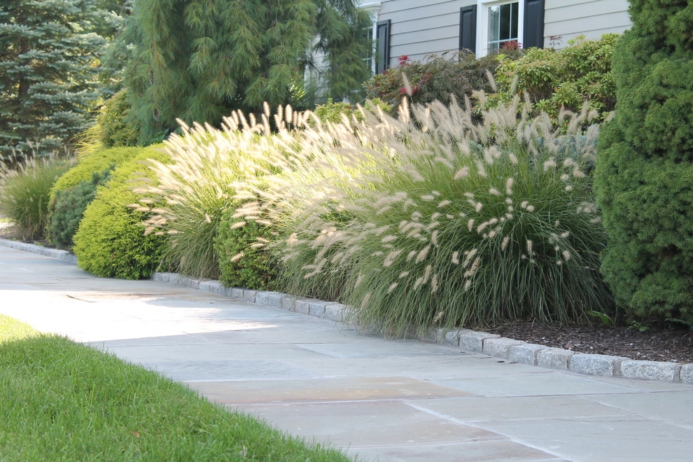Dorchester Dr by Martino Landscape Contractors Inc - Photo 14