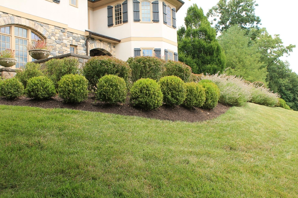 Traditional Landscape & Entrance by Martino Landscape Contractors Inc - Photo 8