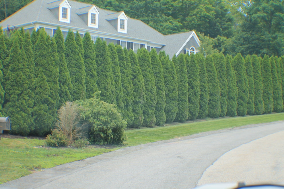 Martino Landscape Contractors Inc - Photo 13