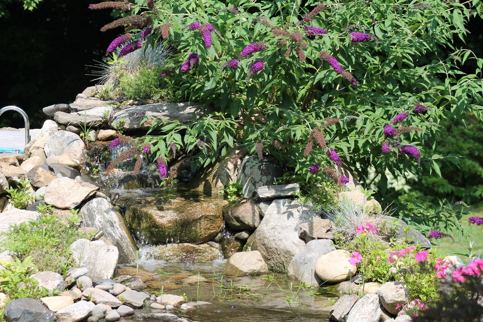 Outdoor Kitchen & Water Feature by Martino Landscape Contractors Inc - Photo 3