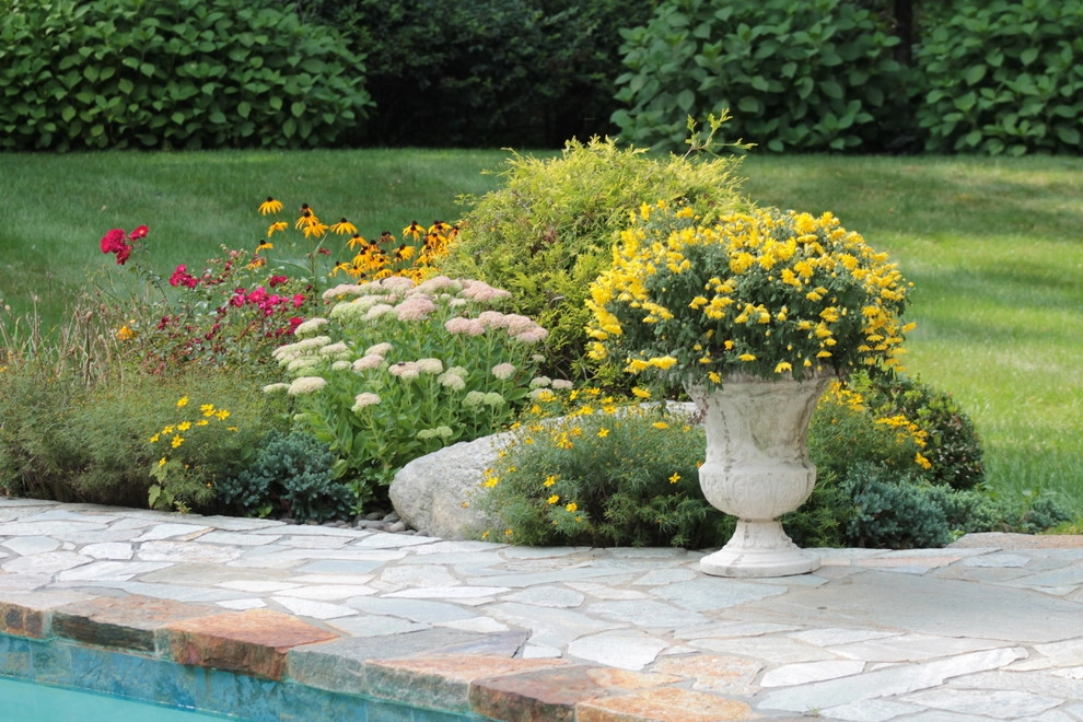 Traditional Backyard by Martino Landscape Contractors Inc - Photo 2