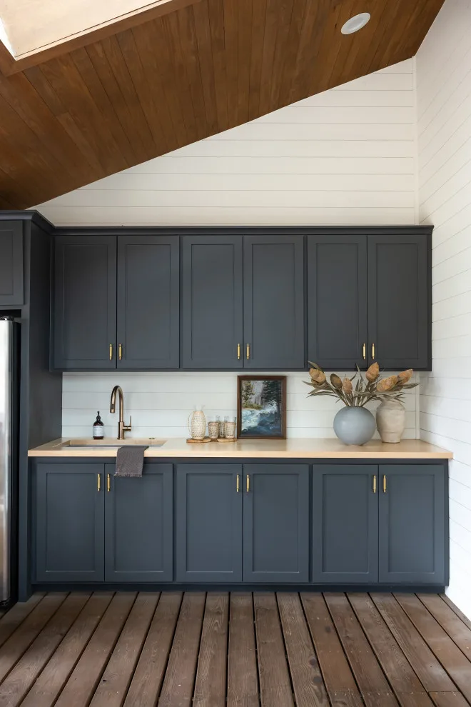 Austin Central Renovation by Audrey Scheck Design - Photo 25