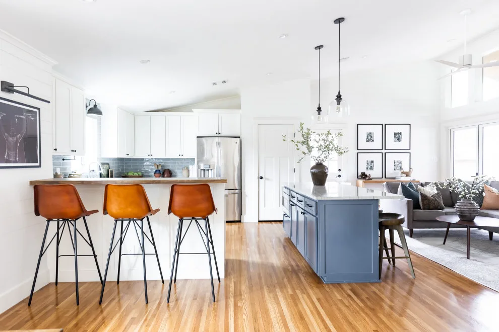 Austin Central Renovation by Audrey Scheck Design - Photo 9