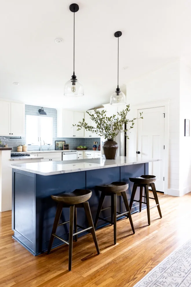 Austin Central Renovation by Audrey Scheck Design - Photo 8
