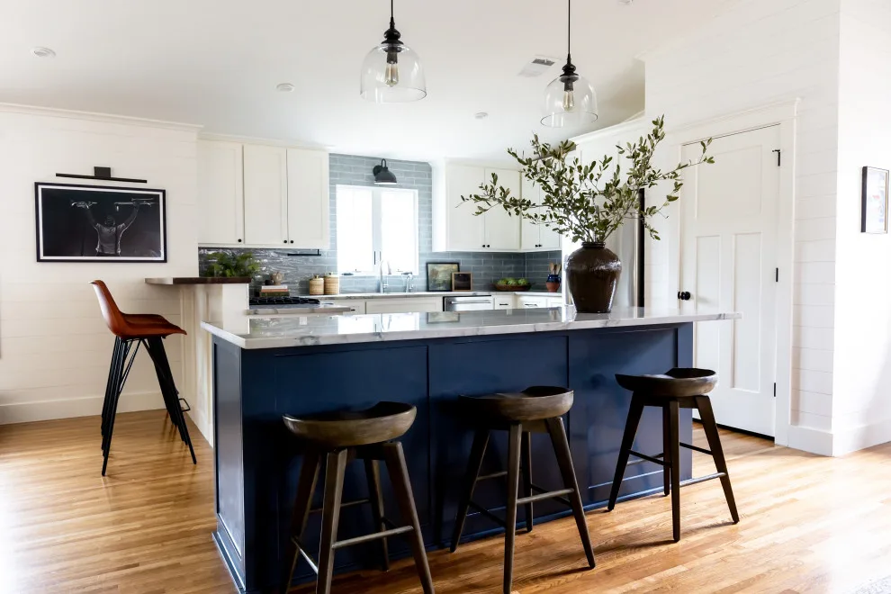 Austin Central Renovation by Audrey Scheck Design - Photo 16