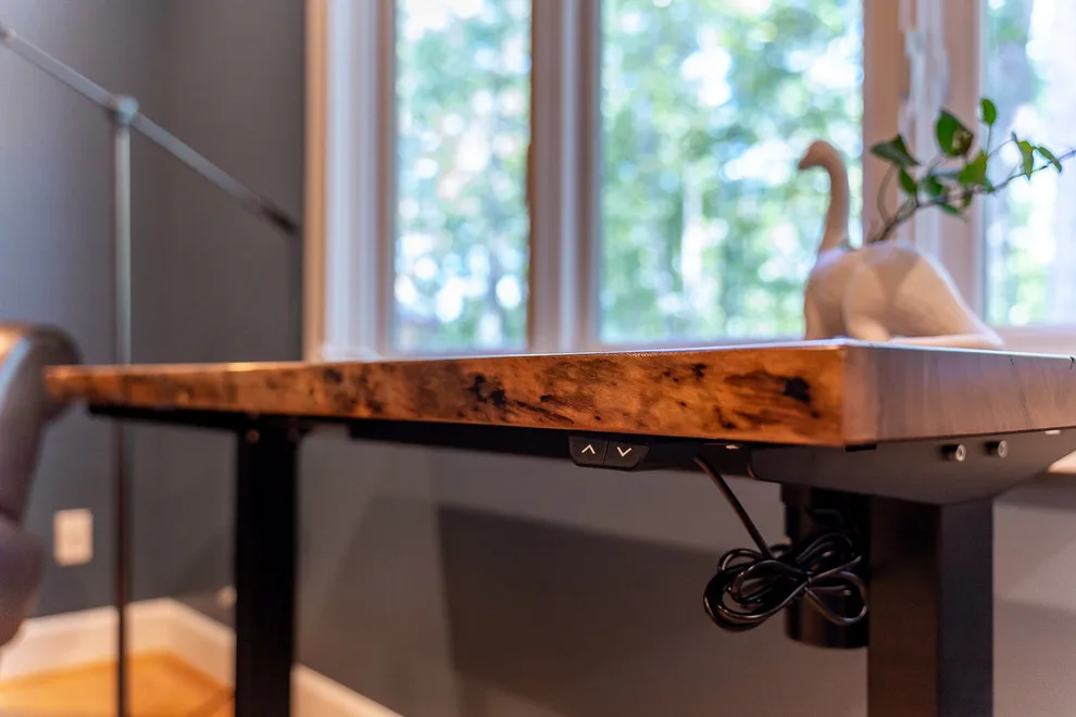 Contemporary Rustic Home Update in Chapel Hill by Brian H Murray Interior Design - Photo 24
