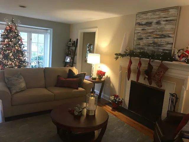 HOLIDAY DECORATION by House To Home - Photo 10