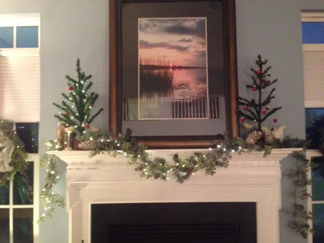 HOLIDAY DECORATION by House To Home - Photo 20
