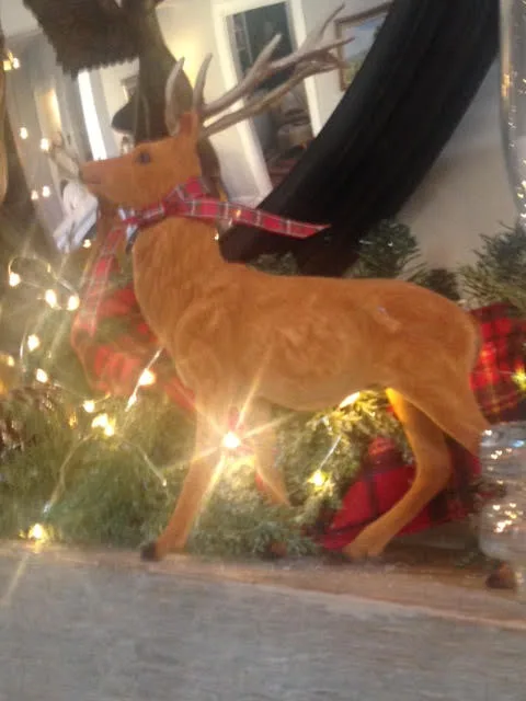 HOLIDAY DECORATION by House To Home - Photo 17