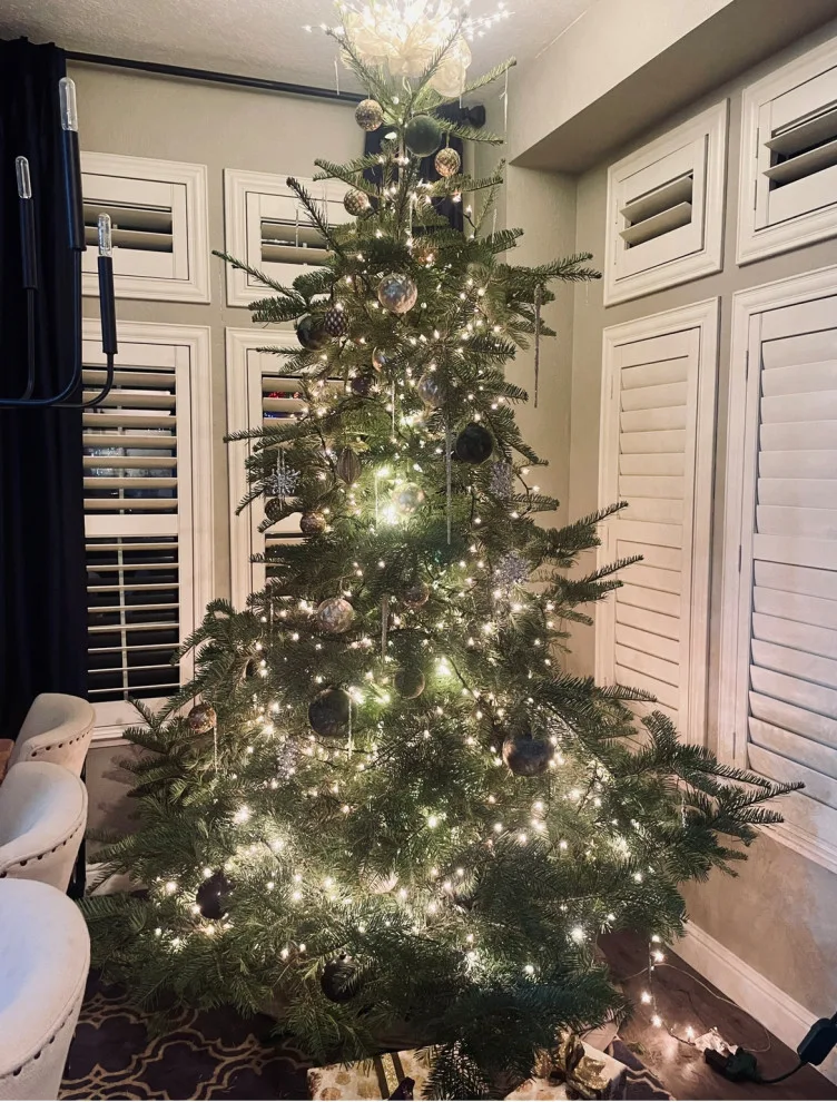 Festive Decoration for the Holidays by VanderHelm Interior Design - Photo 24