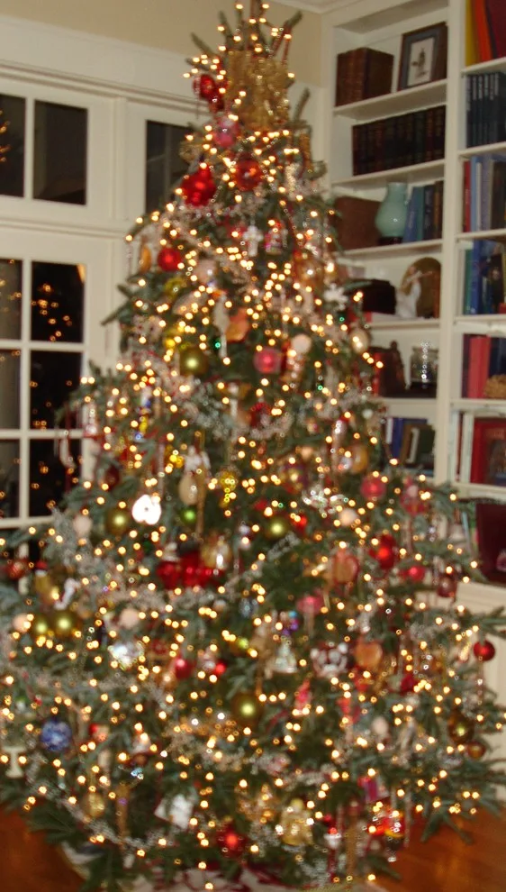 Holiday Season by Joe Sturgill & Company - Photo 14