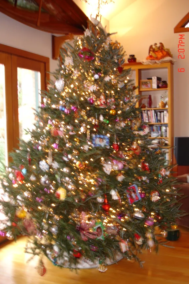 Holiday Season by Joe Sturgill & Company - Photo 5