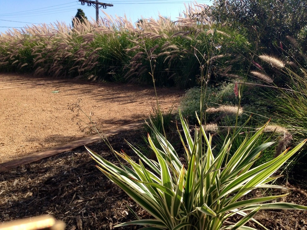Via Abril, San Clemente by Camille Beehler Landscape Design - Photo 2