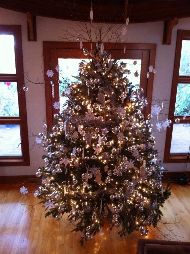 Holiday Evergreens by Joe Sturgill & Company - Photo 3