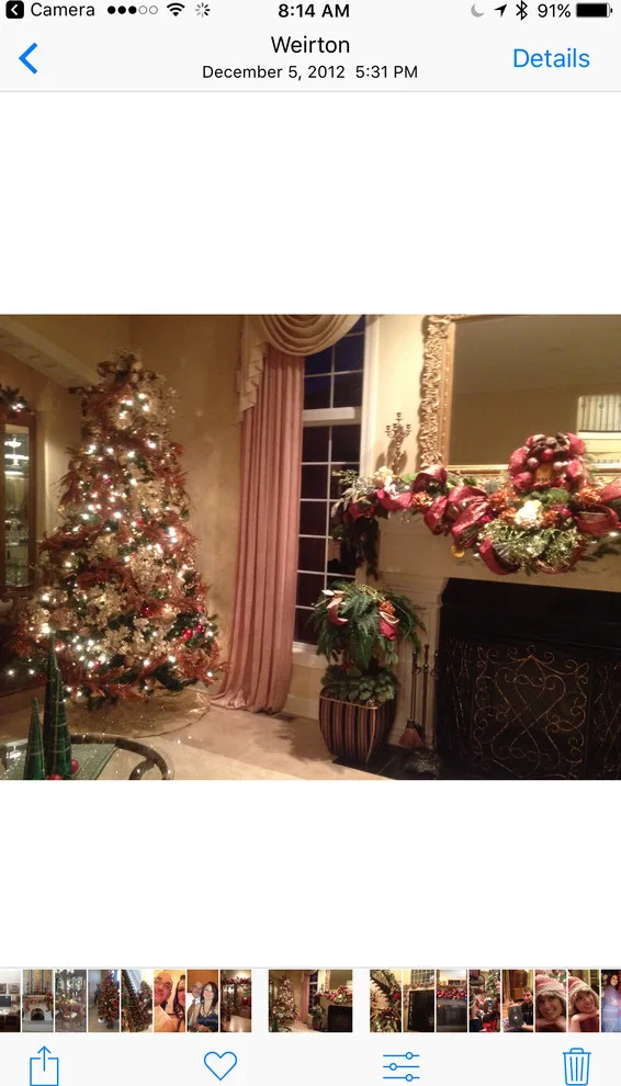 Holiday Enchantment by Designs By Anna LLC - Photo 4