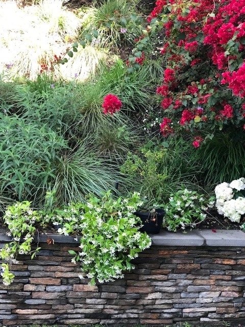 Beautiful Residence - Beverly Hills by Camille Beehler Landscape Design - Photo 6