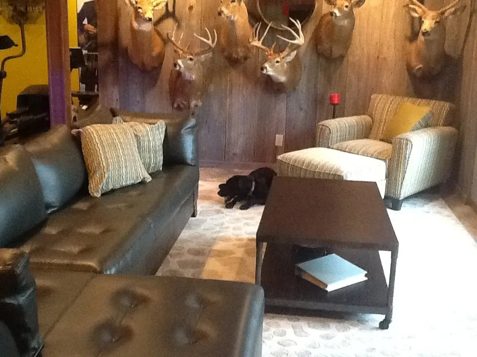 Clemens Project by Laura Allinder, Allied ASID - Photo 5