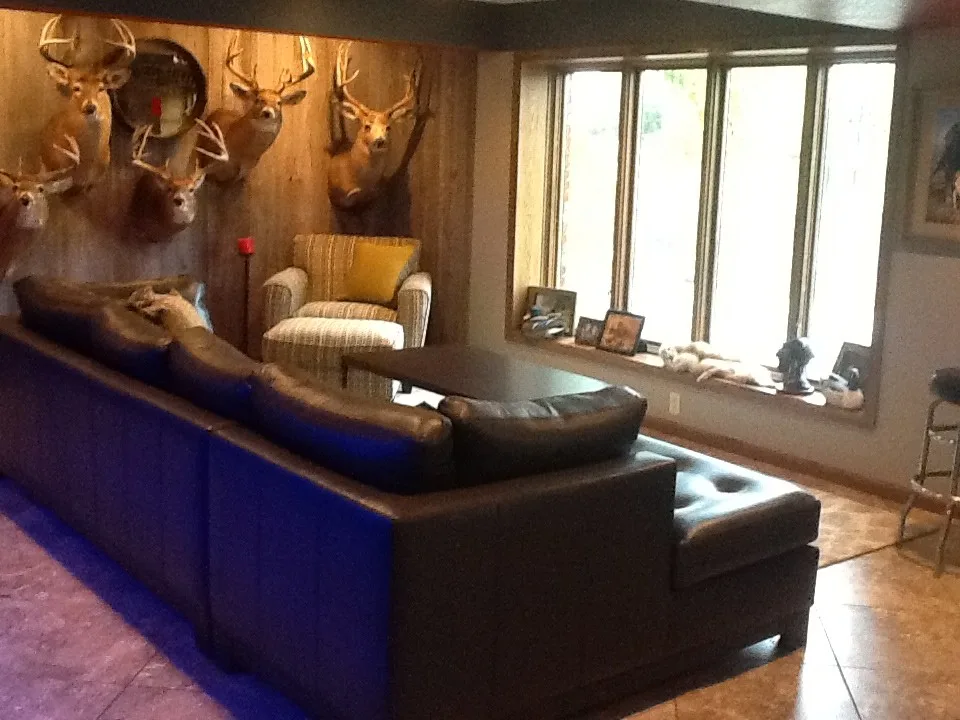 Clemens Project by Laura Allinder, Allied ASID - Photo 3