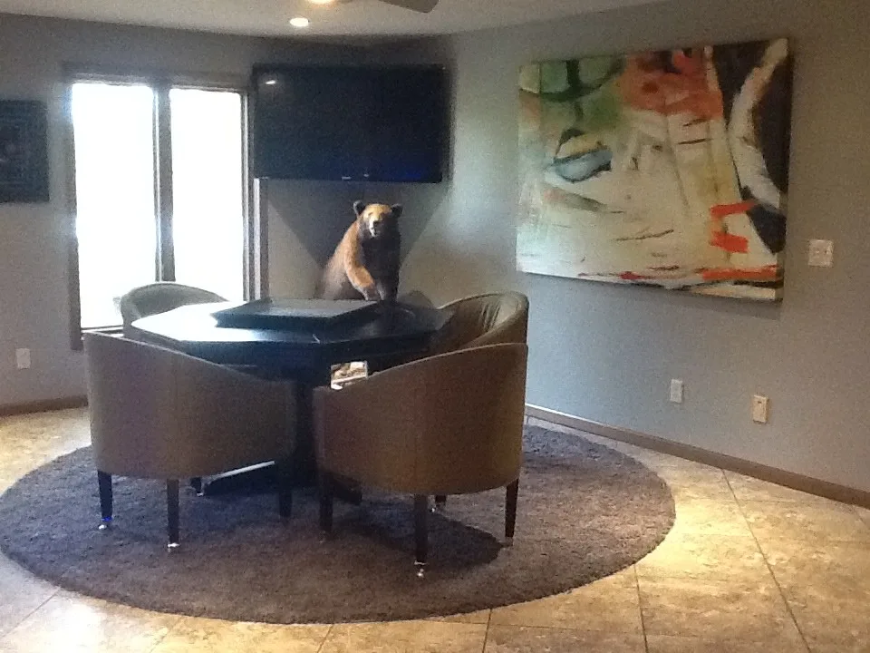 Clemens Project by Laura Allinder, Allied ASID - Photo 4