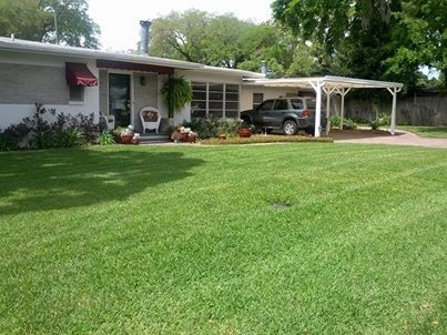 Mayday's Lawn Termite Pest - Photo 14