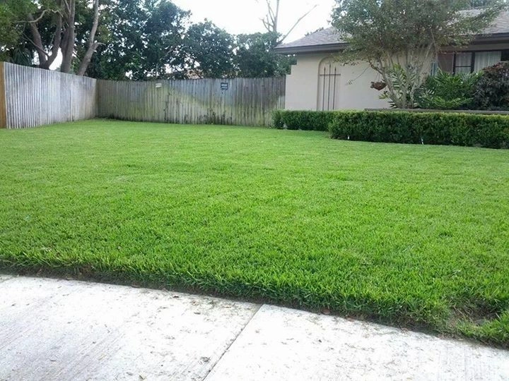 Mayday's Work by Mayday's Lawn Termite Pest - Photo 25