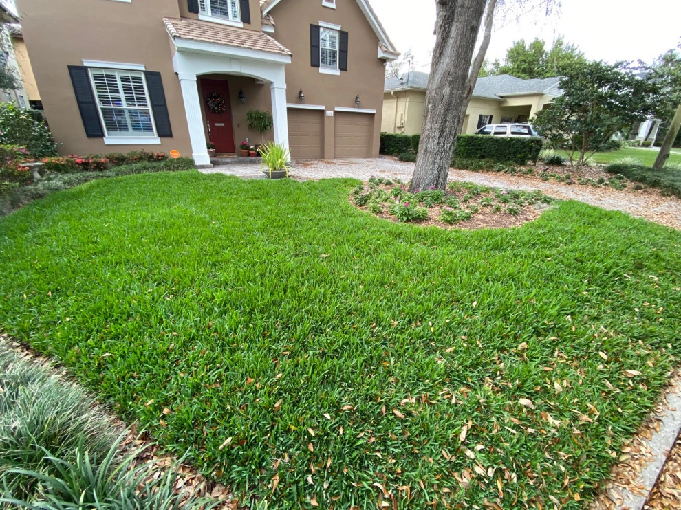 Mayday's Work by Mayday's Lawn Termite Pest - Photo 16