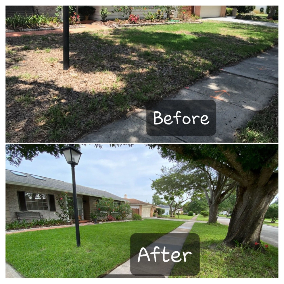 Mayday's Lawn Termite Pest - Photo 10